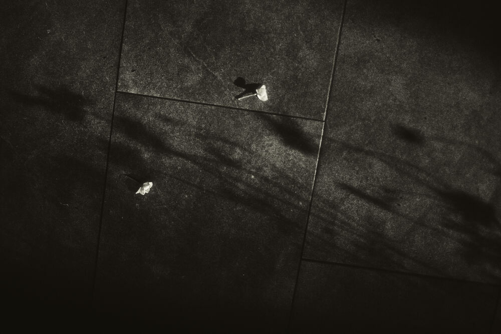 Portfolio Image