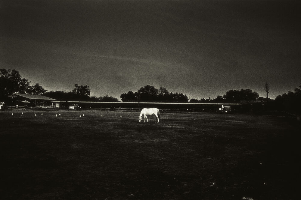 Portfolio Image