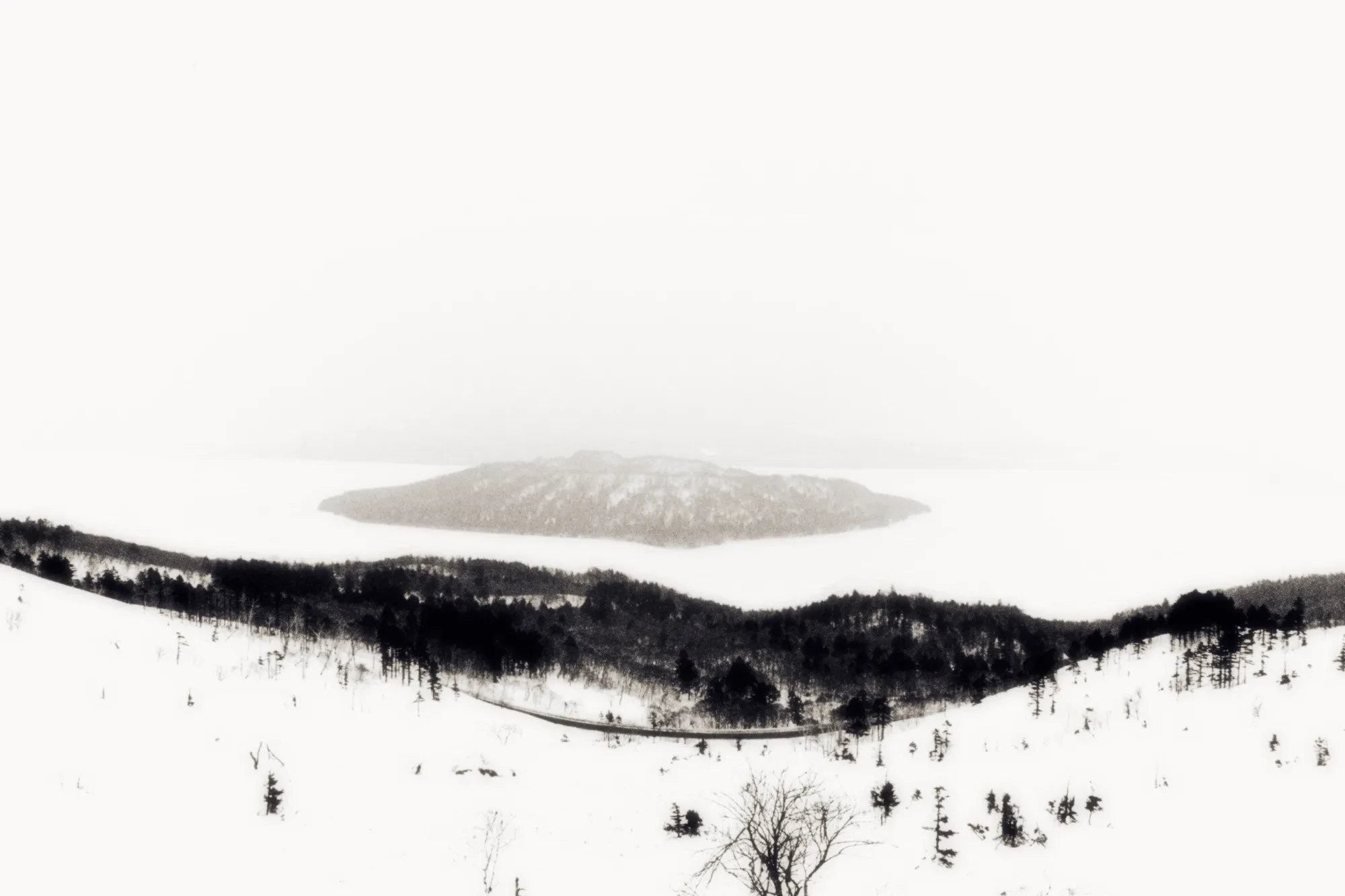 Portfolio Image