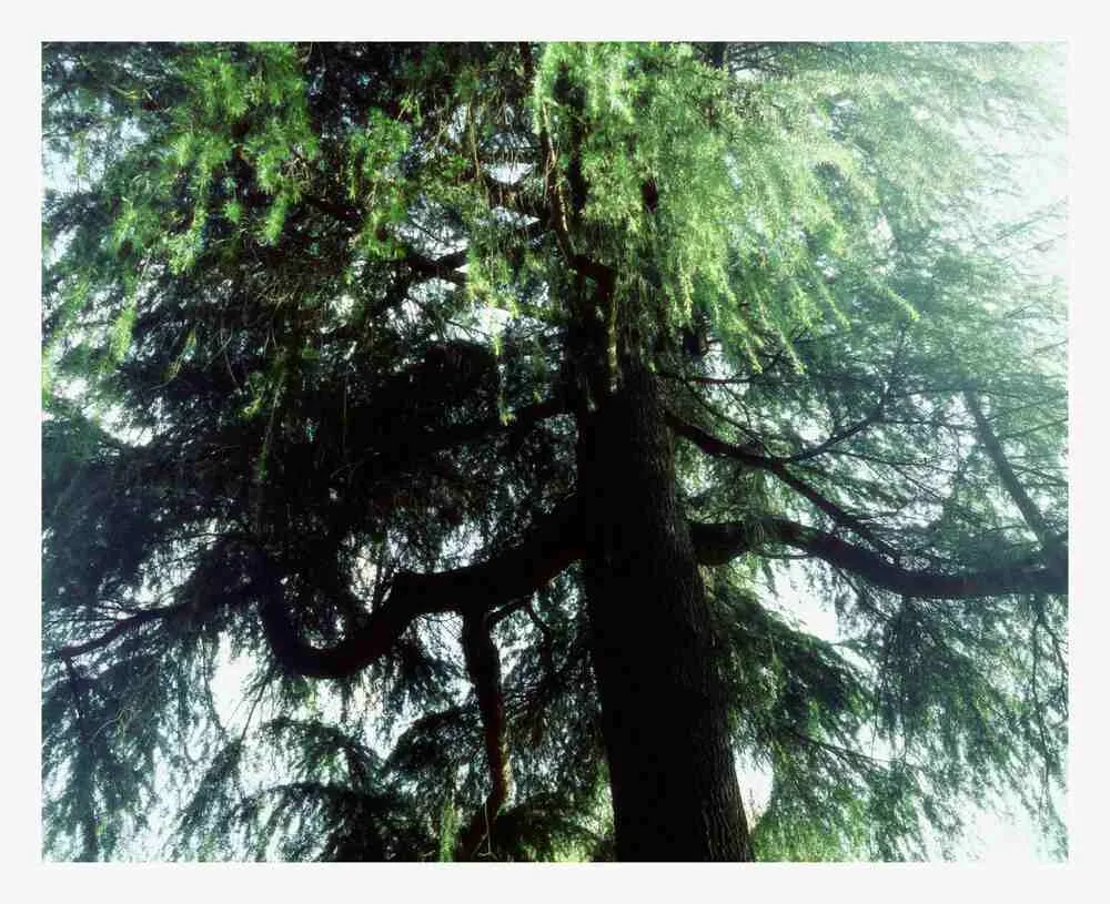 Portfolio Image