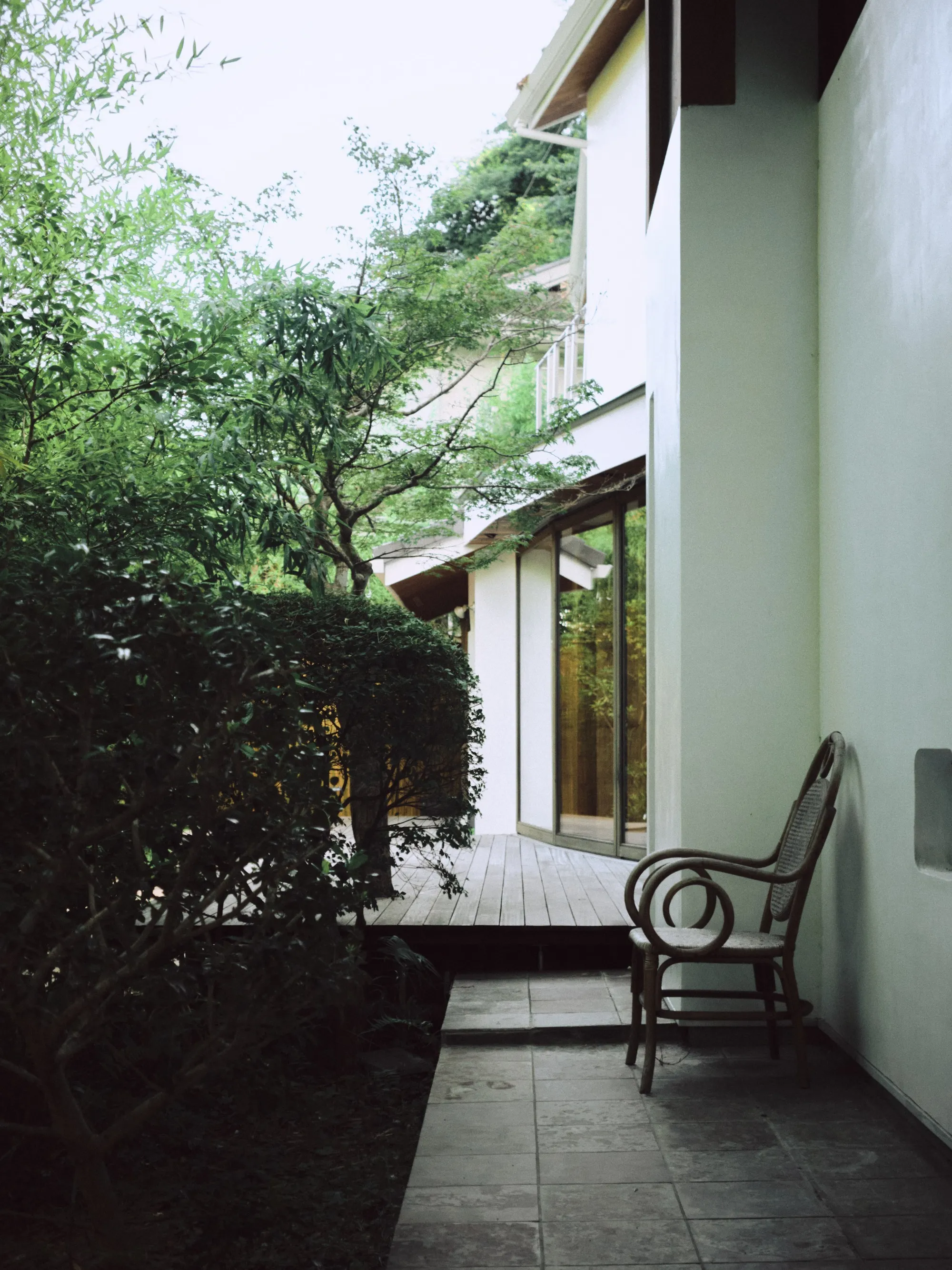 Portfolio Image