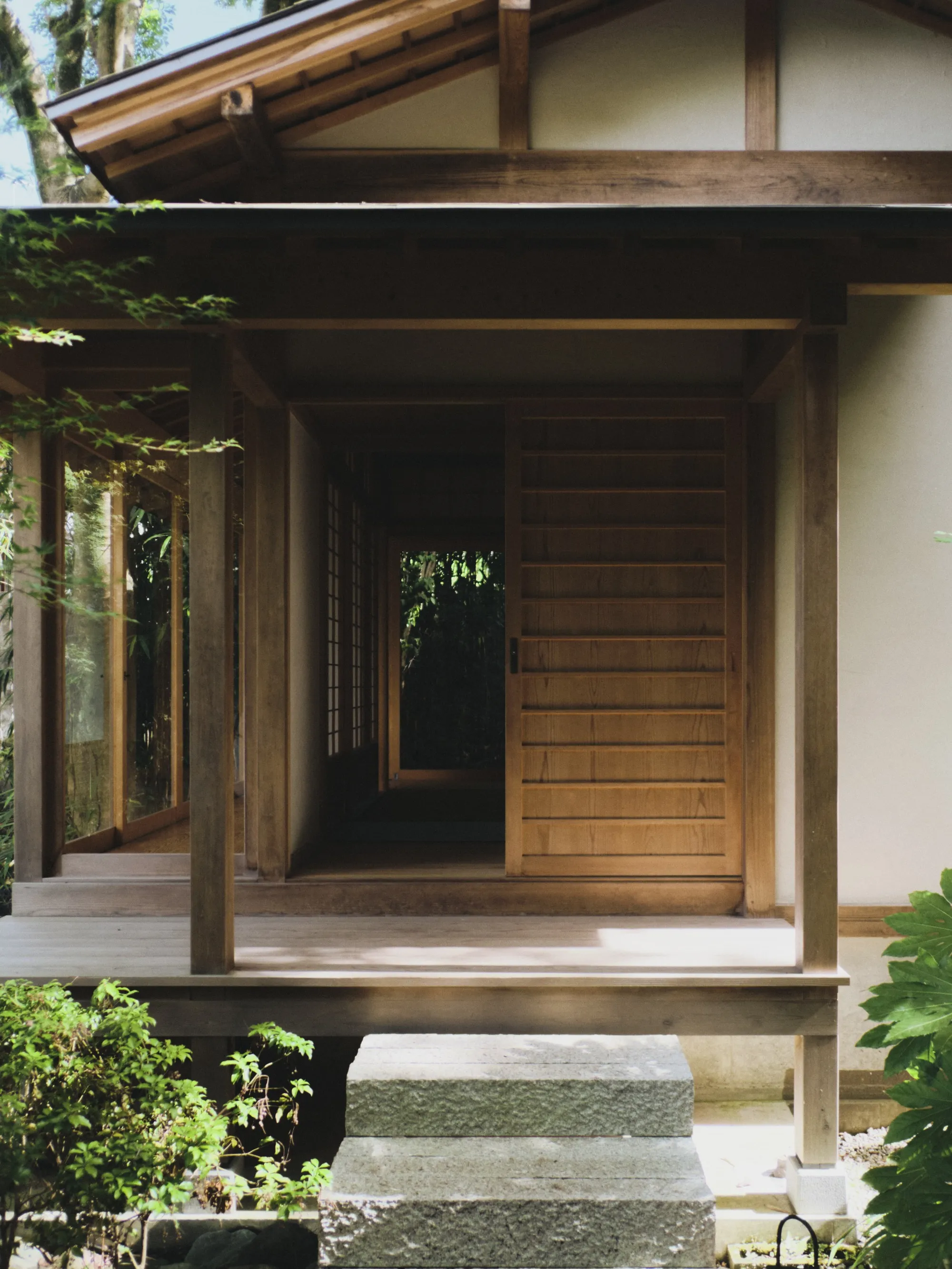Portfolio Image